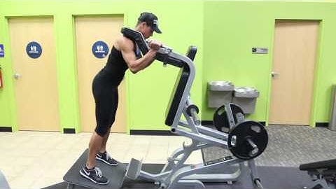 Reverse Hack Squats