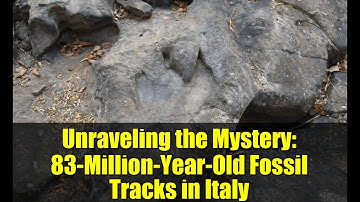 Unraveling the Mystery: 83-Million-Year-Old Fossil Tracks in Italy