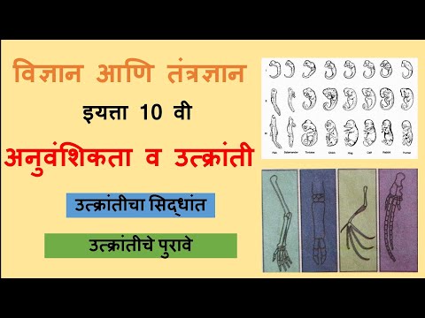 उत्क्रांतीचा सिद्धांत, उत्क्रांतीचे पुरावे,बाह्यरूपीय पुरावे,शरीर शास्त्रीय पुरावे,अवशेषांगे ,भाग-2