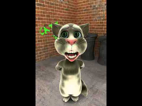 funny cat animation - YouTube