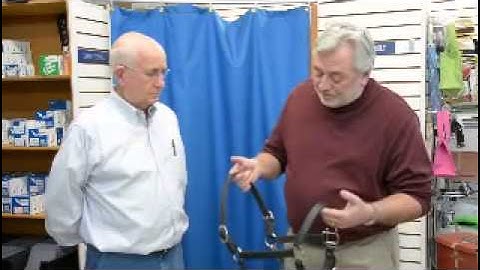 Ortho-Flex Beta Halter