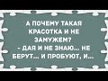 - А почему такая красотка и не замужем? Сборник Свежих Смешных Анекдотов!