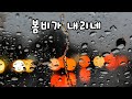 봄비가 내리네 처음 듣는 내가 듣고 싶은 감성 트로트 