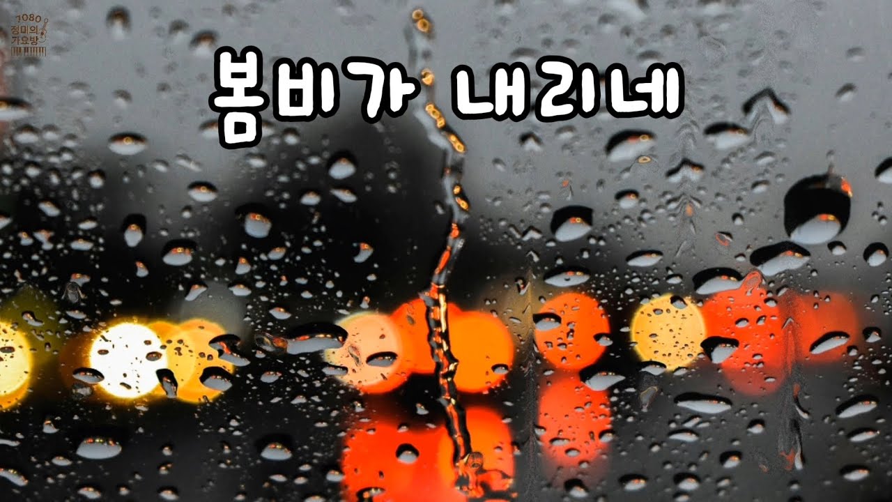 봄비가 내리네☂️ | 처음 듣는 내가 듣고 싶은 감성 트로트