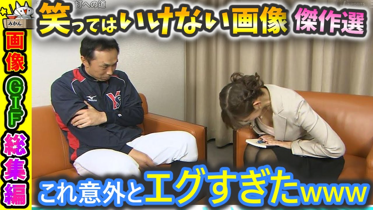 【傑作選】笑ったら終了w選ばれし爆笑画像GIF80発【2ch】