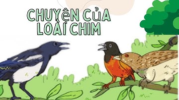 Chuyện của loài chim|Kể chuyện lớp 4|Tiếng việt lớp 4_Cánh diều
