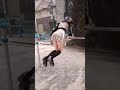 鉄棒 #shorts