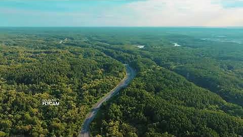 Chiến Khu rừng Sác Cần Giờ