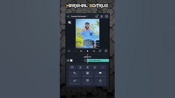 ⚡How To Add Flash Light Effect In Status Video Alight Motion l #shorts
