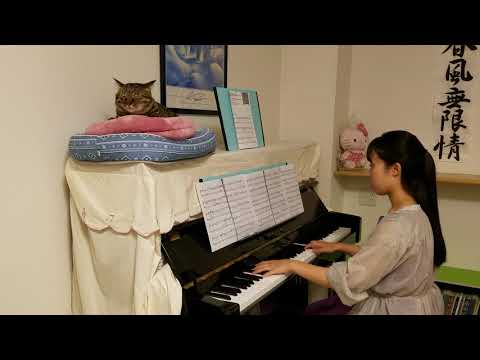 Official 髭男 dism『115万キロのフィルム』ピアノ     ～猫と一緒～