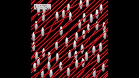 Vortices in REBCO sample with BzO nanorods in magnetic field at 45° to c-axis