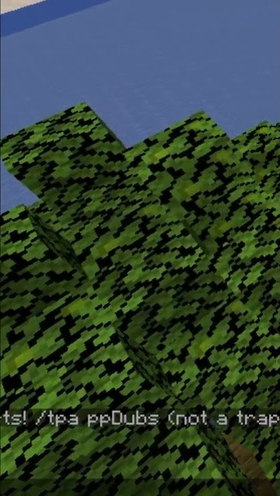 I found a player TRAPPING on my LifeSteal SMP