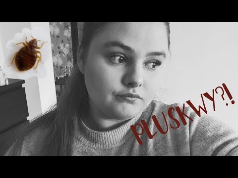 Wideo: Różnica Między świerzbami A Pluskwami