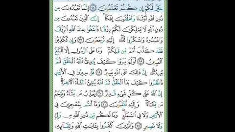 #سورة العنكبوت#تلاوة الآنسة سمية #الآيات 15-16#قليل دائم خير