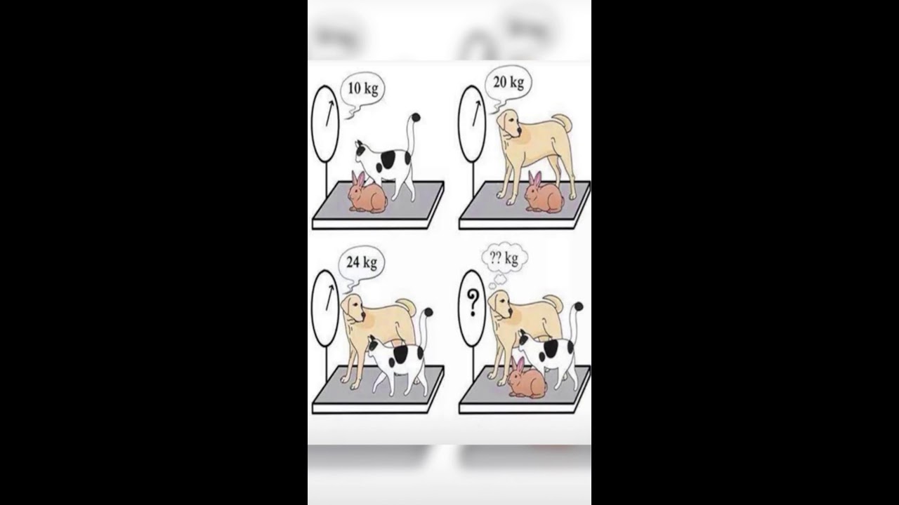 99% Get This WRONG! 🐱🐶🐰 |