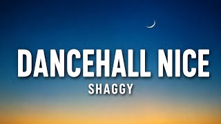 Shaggy ft. Beres Hammond & Dexta Daps – Dancehall Nice (Lyrics)