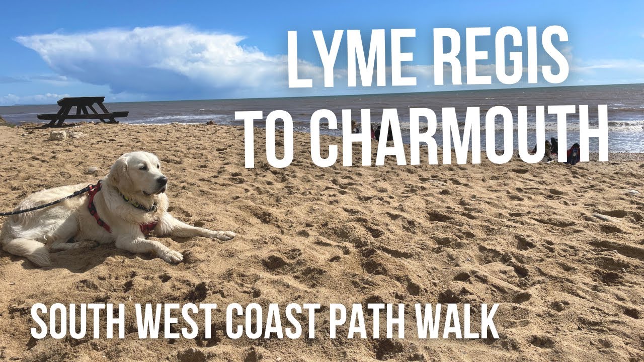 Lyme Regis to Charmouth walk South West Coast Path Dorset YouTube