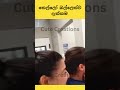 සීදේවි කෙල්ලෝ ටික 😂😂cat#funnyanimals#funny#cute#srilanka#shorts#short#trendingshorts#lankan#cats