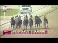 RM 31  Al Rayyan Race 6 -  Umm Al Zubar Cup