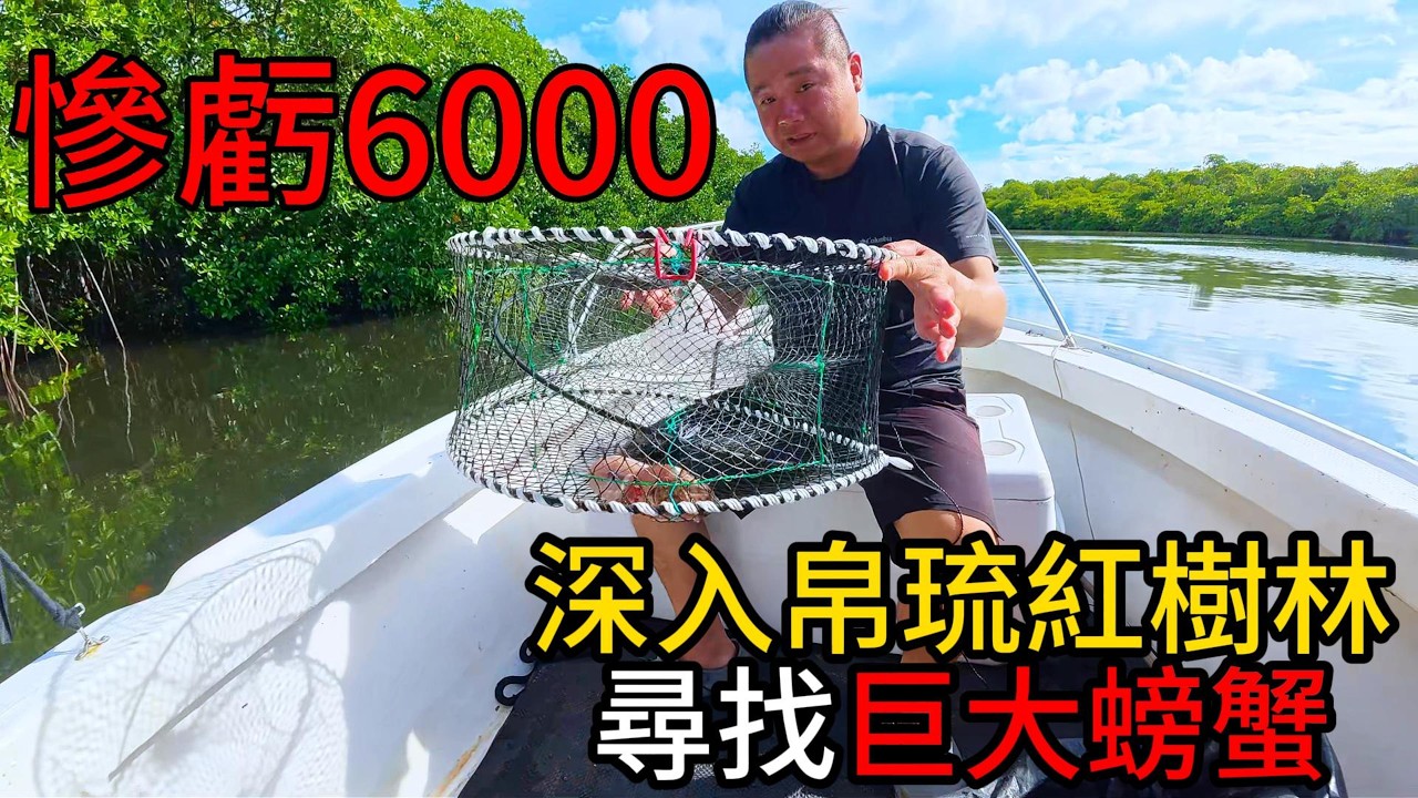 天啊血虧6000元!!!!深入帛琉紅樹林尋找巨蟹丨挑戰帛琉深海巨獸!這片海太誇張了~@打魚王翔哥 
