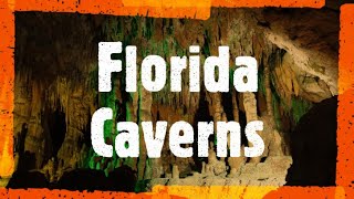 Florida Caverns State Park. An underground adventure in the Florida Panhandle by Allwonkyvids 143 views 1 year ago 3 minutes, 41 seconds