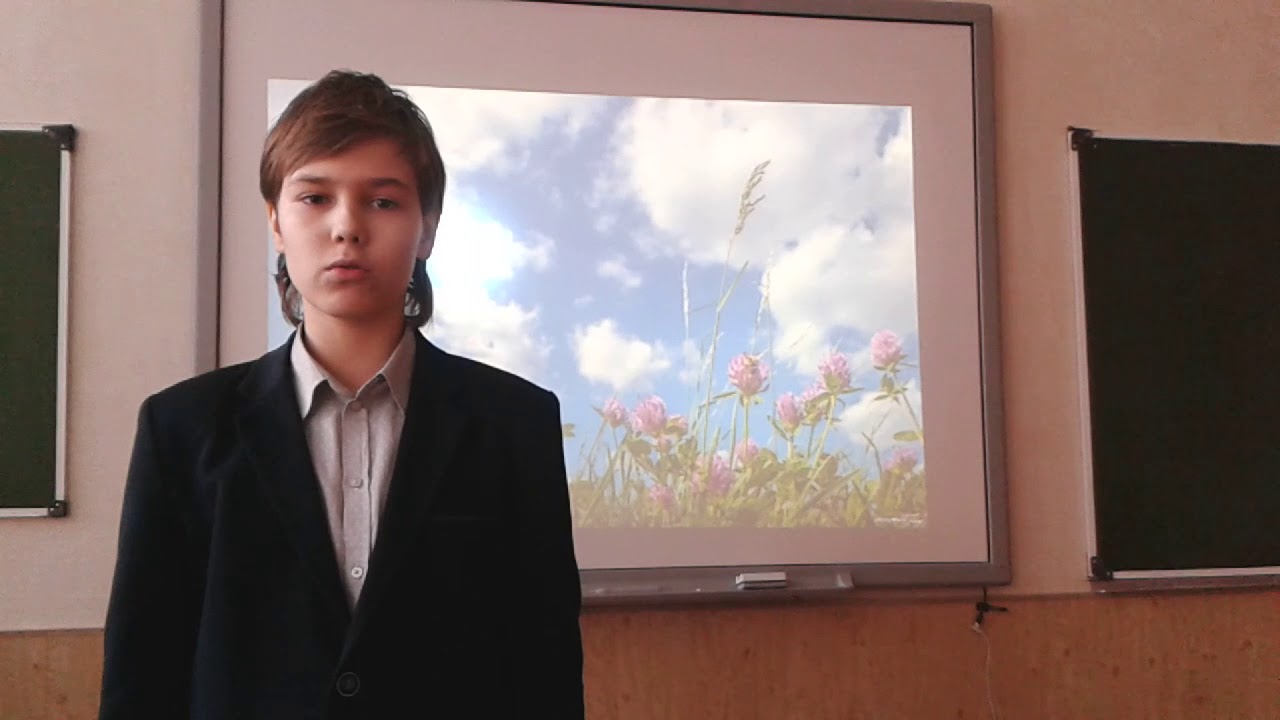 блок погружался я в море клевера размер