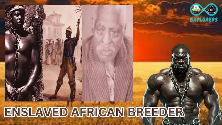 Pata Seca: The Enslaved African Breeder Who Produced Over 200 Children for His Master