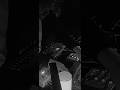 IMGL live @ Volumens 2025