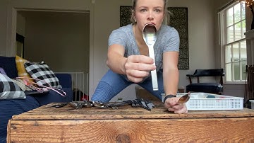 Life Skills Chore: Sorting Silverware