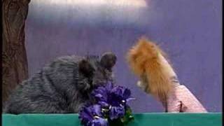 EPL Puppet Show: Gunni Wolf