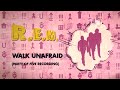 R.E.M. - Walk Unafraid ("Party Of Five" Recording) - Official Visualizer / Up Deluxe Edition