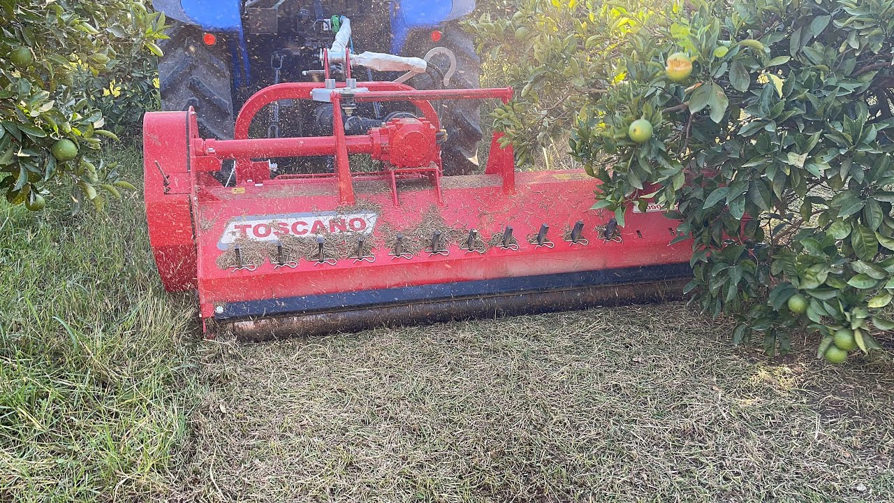 DAL PARÇALAMA MAKİNESİ İLE OTLA MÜCADELE