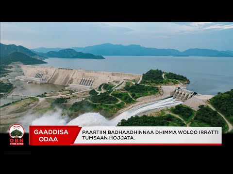 Gaaddisa Odaa Paartiin Badhaadhinnaa Dhimma Woloo Irratti Tumsaan Hojjata