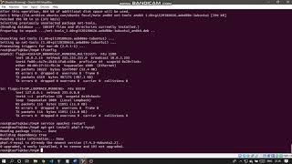 Konfigurasi Database, Web Server dan WordPress pada Ubuntu 20.04 | Part. 2