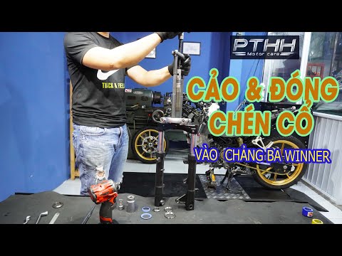 Video QUY TRÌNH CẢO VÀ ĐÓNG CHÉN CỔ MỚI VÀO CHẢNG BA - youtube