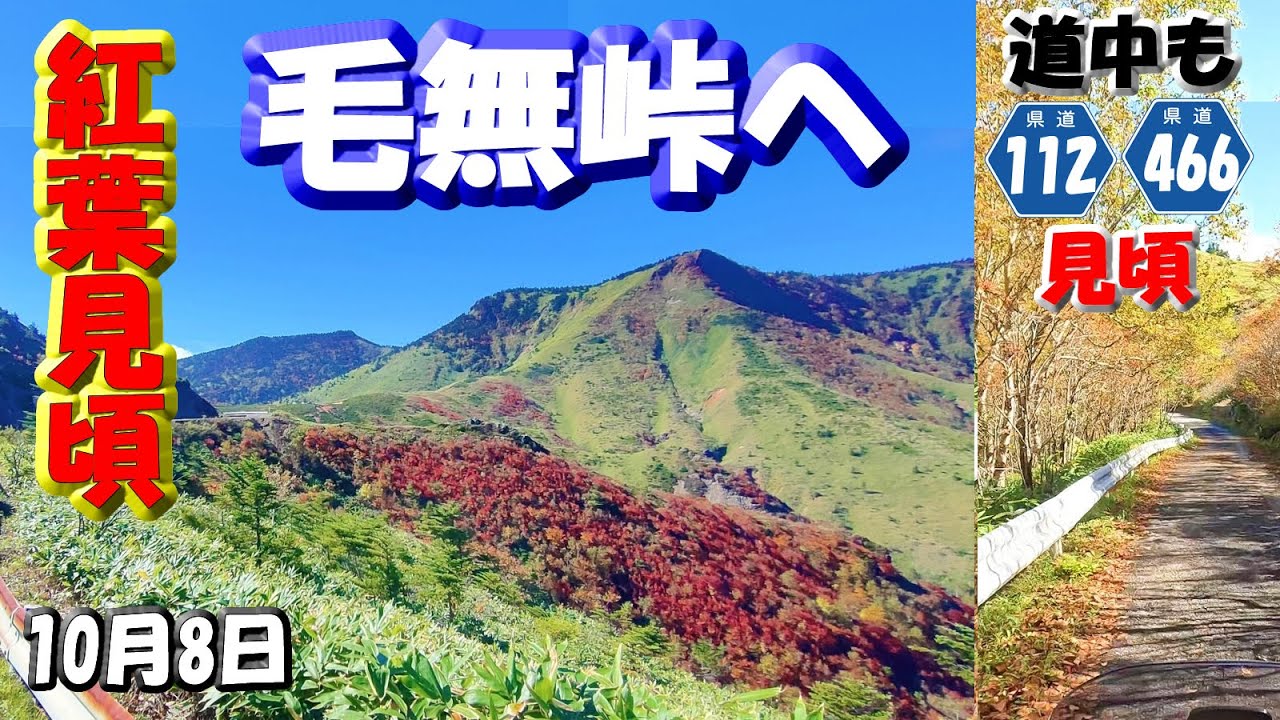 【毛無峠紅葉】「万座温泉」から毛無峠へ行く県道466号線「万座道路(上信スカイライン)」県道112号線「大前須坂線」の道中も紅葉も見ごろ