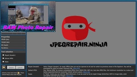 Corrupt RAW photos: It looks like we don’t support this file format. Extract full res JPEG data.