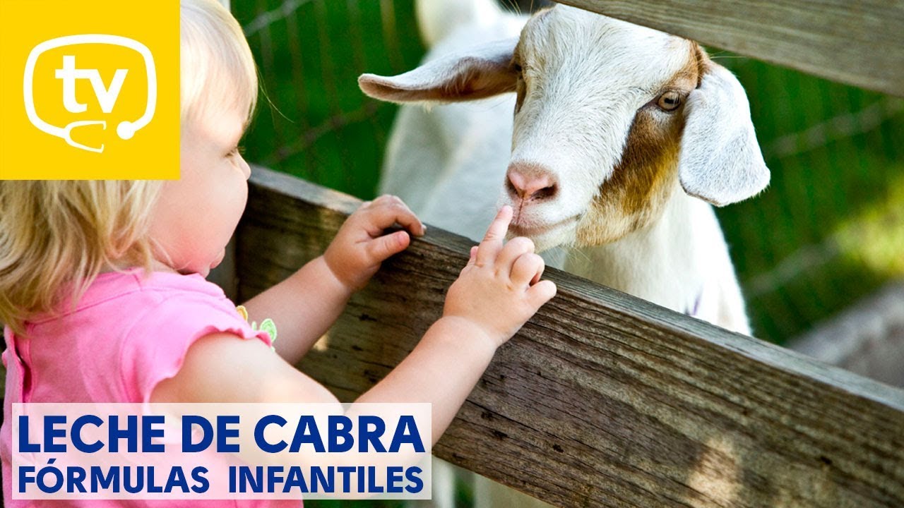 Qué aporta la leche de cabra como fórmula infantil? 