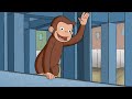 El Arquitecto de Mono | Jorge El Curioso | Dibujos animados para niños | WildBrain en Español