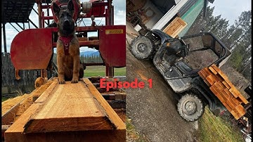 Milling Cedar For a New Project