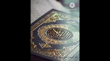 ما تيسر من سورة التوبة // #تلاوات #تلاوة_خاشعة #قرآن_كريم