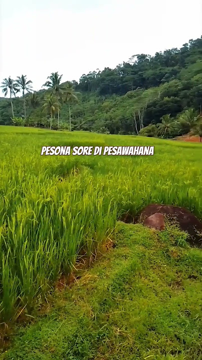 PESONA ALAM PASUNDAAN JAWABARAT #kampungsunda #sukabumi