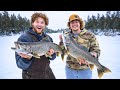 Ice Fishing GIANT Lake Trout on Lake of the Woods!