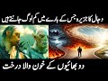 Dajjal ka jazira  khoni darakht  dajjal  real bhai tv