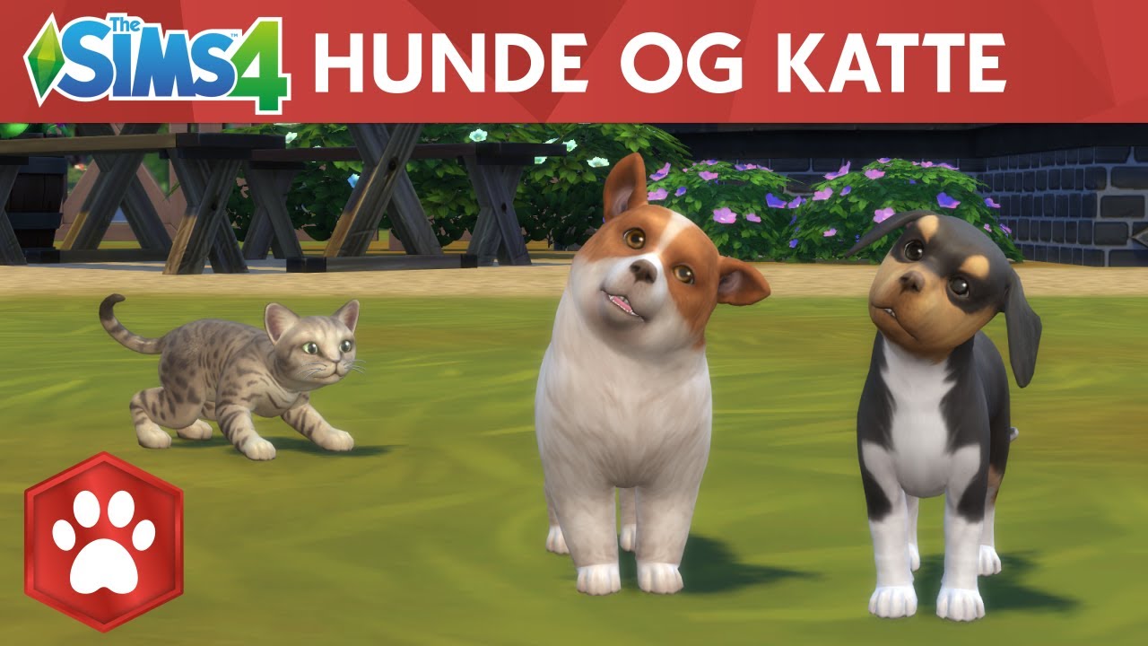 Microbe Vær venlig Valnød The Sims™ 4 Hunde og katte er ude nu til pc og Mac!