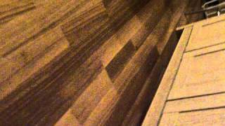 DSCN0777.AVI