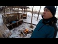 Бородино - зима 2015