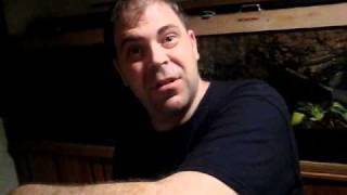DownloadPulling the P.formosa sac!! MP3 MP4 Pulling the P.formosa sac!!