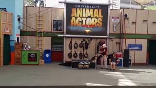 Universal Studios Animal Actors Show July 18Th 2014 Full Hd