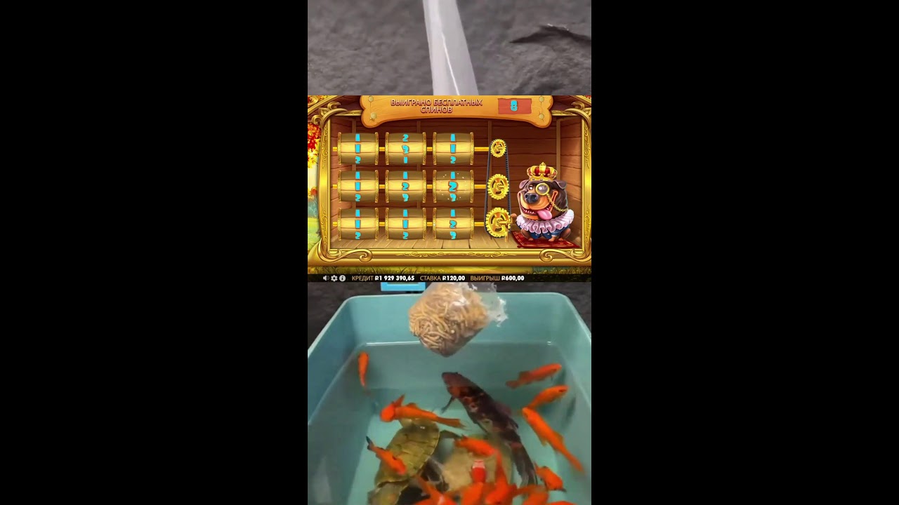 ИГРАЕМ НА СТРИМЕ ШОРТС